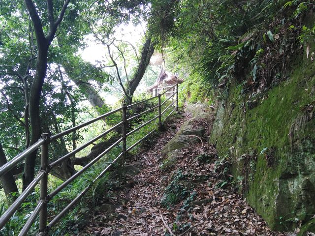 {aւƑB
~J~J͂ʂł̂ł߂܂B_O_