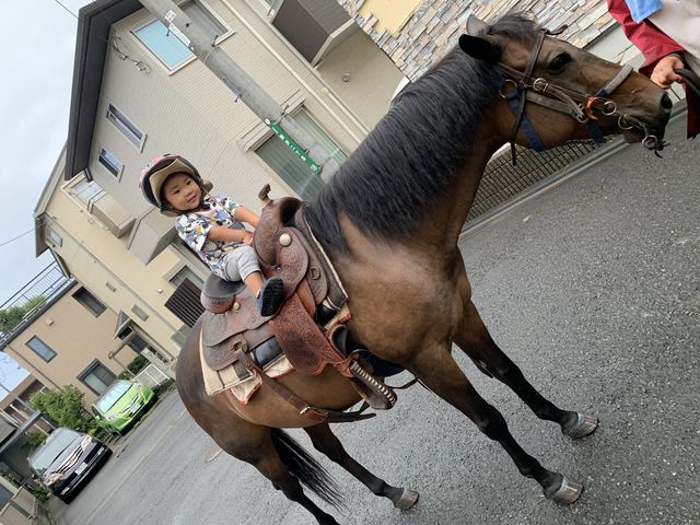 �Ō�́A�Ί炪�����܂����I�@�喞���ł�_�}�����̕��z�[�X�g���b�L���O