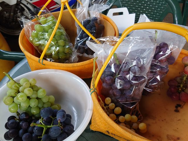 �����A��ƐH�ו��蕪���܂߂�_�������̉���