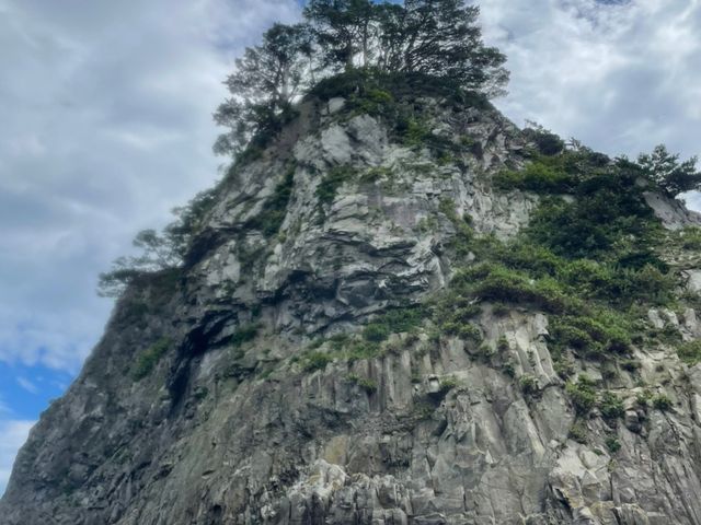 �f�G�Ȍi�F�΂���_�O���V�[�J���b�N�X�N�[���@Sea-son