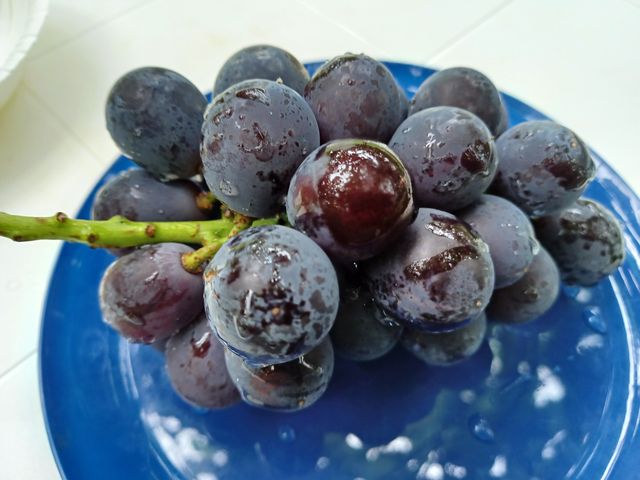 ��������_�X�c�Ԃǂ���