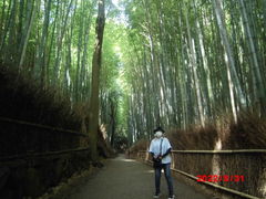 v^[lr̒|т̓ւ̓eʐ^1