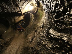 ߂񂽂̖Xւ̓eʐ^1