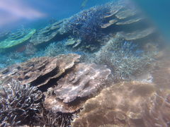 Marine Shop rWւ̓eʐ^1