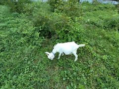 �݂킱����̖�C�����x���[�p�[�N�ւ̓��e�ʐ^3