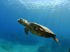 ussỹAChbZ[Wւ̓eʐ^1