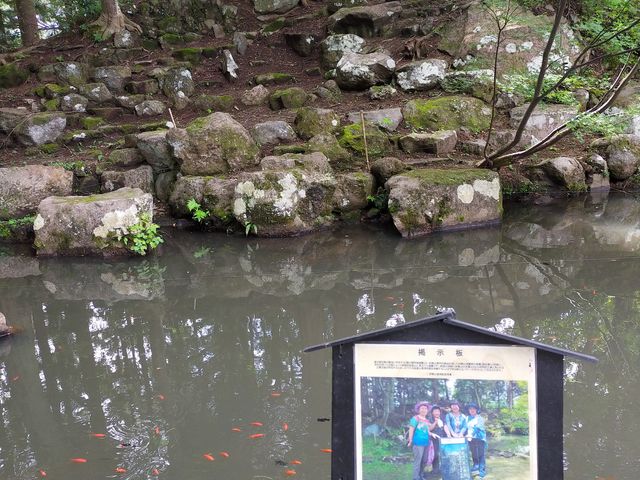 뉀̖R_kX֐֏u̗jفv