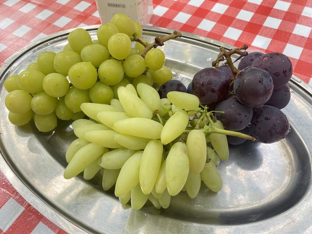 �V���C���}�X�J�b�g�͂�����񂾂��ǁA���̍ג����Ԃǂ����������������I�I_��{�Ԃǂ���艀