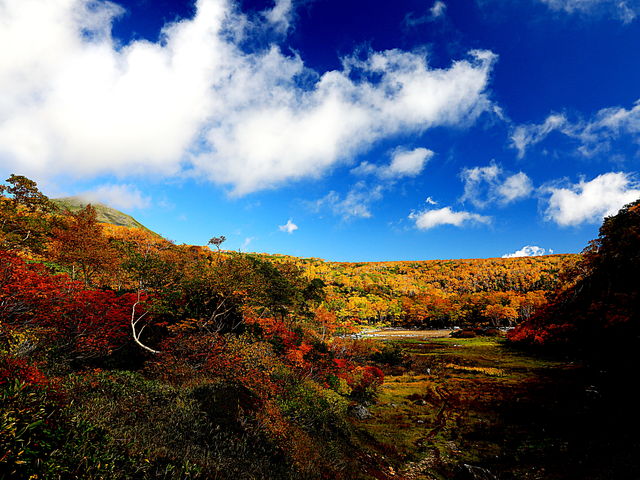 �����O���Ίx�i���Y�x�j_��ፂ�����Q