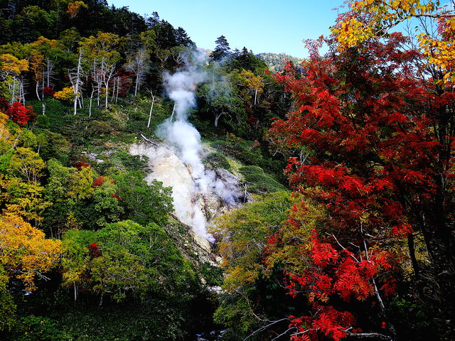 �����׉����]��_��ፂ�����Q