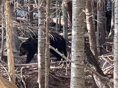 Ƃ̊Вmc[Xgւ̓eʐ^1