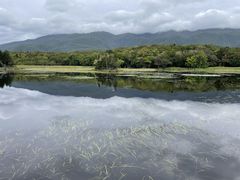 ITD̊Вmc[Xgւ̓eʐ^1