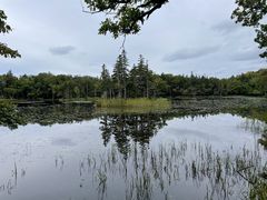 ITD̊Вmc[Xgւ̓eʐ^2