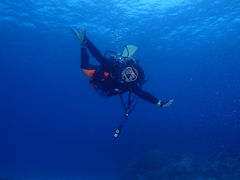 Oceans TreasureiI[VYgW[j̎ʐ^1