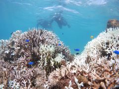 悤̃A}~GVXւ̓eʐ^1