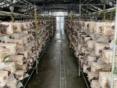 ށ[񂳂̉i_ւ̓eʐ^1