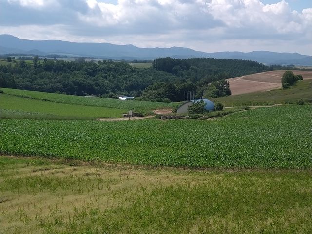 �V�h�̋u�W�]����