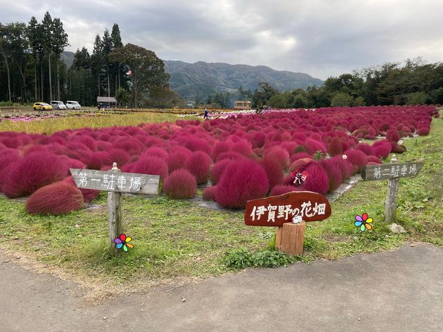 ���h����̂P����Ȃ���΁I_���h����