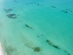 erikaSunnies Miyakojimaւ̓eʐ^1