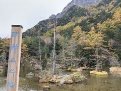 �X�^�[����̖��_�r�ւ̓��e�ʐ^1