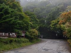 ݂炵̖{ig΁@̏hւ̓eʐ^1