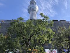 ܁[񂳂̓\}`ւ̓eʐ^1