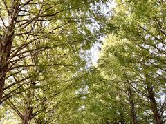 CÑ^ZRCA؂ւ̓eʐ^1