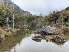 �X�^�[����̖��_�r�ւ̓��e�ʐ^1