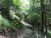 �������̔��d�R�_�Ђ̓��e�ʐ^2