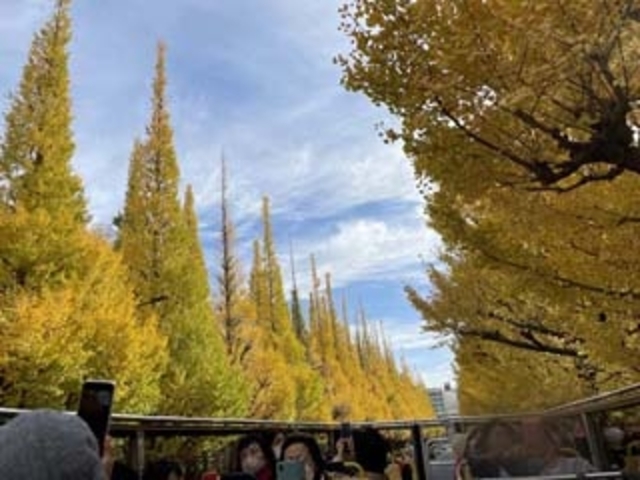 �_�{�O���̃C�`���E����_2�K���ăI�[�v���o�X�w�X�J�C�o�X�x�E�������p�o�X�w�X�J�C�_�b�N�x