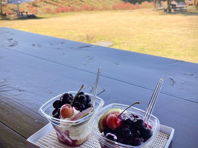 �L�E�C����̃f�U�[�g_��]�̋u�_��