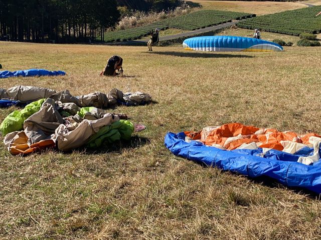 �ӊO�Ɗ������X�|�[�c
_�����X�J�C�p�[�N �p���O���C�_�[�X�N�[��