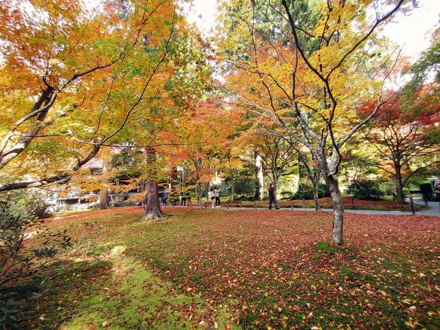 �ۂƍg�t_���s�匴�O��@