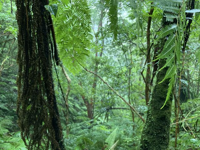 �������������쌴_�����g���b�N