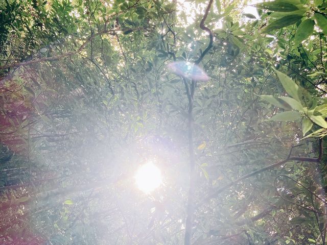 �L���L���P�����쌴_�����g���b�N