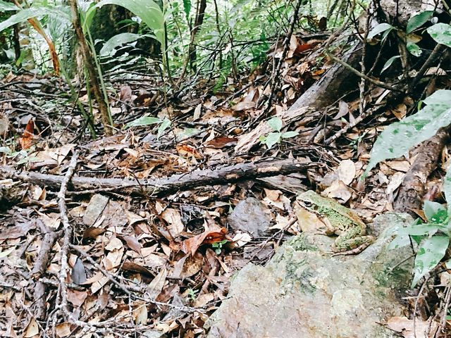 ���������J�G������_�����g���b�N