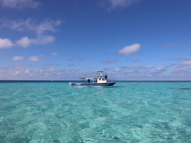 �x�e�ꏊ�̕��i�ł��B_�u���[�t�H���X�g�{�Ó�