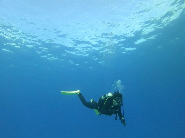 ����_�_�C�r���O�T�[�r�X�W���~���O