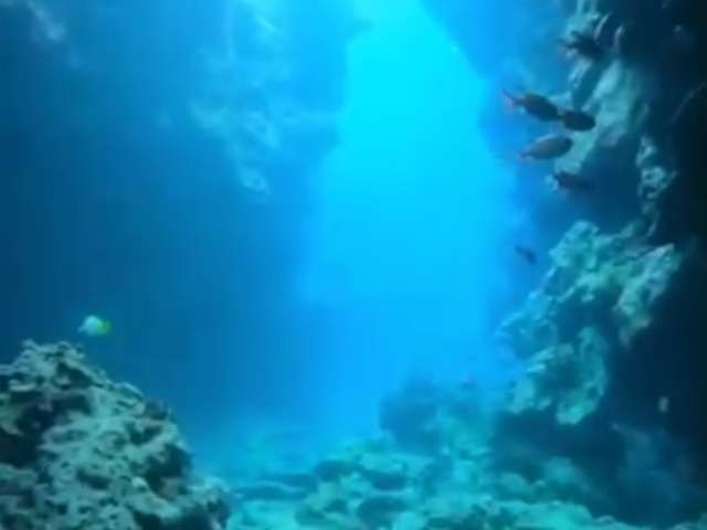 �~�j���A_�_�C�r���O�T�[�r�X�W���~���O