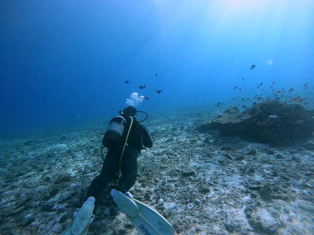 ����`��_�_�C�r���O�T�[�r�X�W���~���O