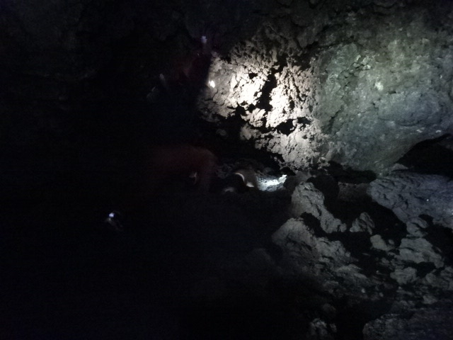 ���炢���A�𓪂̃��C�g�̖����肾���Ői�݂܂��B_�t�W���}�g���b�N�c�A�[