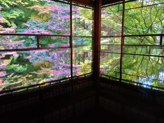 �f���|�C���g_�ڗ����@