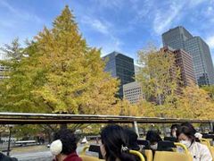 SEgJC2KăI[voXwXJCoXxEpoXwXJC_bNxւ̓eʐ^1