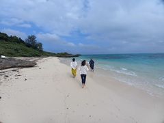 makomako̐Ί_Ahx`[tHgcA[ KIBOUւ̓eʐ^1