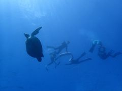 ܂̓ʓ_CuTCgւ̓eʐ^1