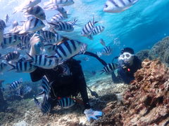 ݂䂳̃V}n@}T[rXւ̓eʐ^1