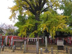 \tgȏS 59΂̋Sq_ւ̓eʐ^1