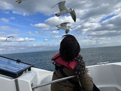 낭̐̓AMN[WOv}ւ̓eʐ^1