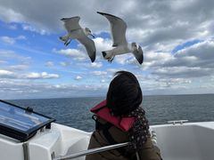 낭̐̓AMN[WOv}ւ̓eʐ^2