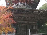 ̑8ԎD R ^@ FJ̓eʐ^1